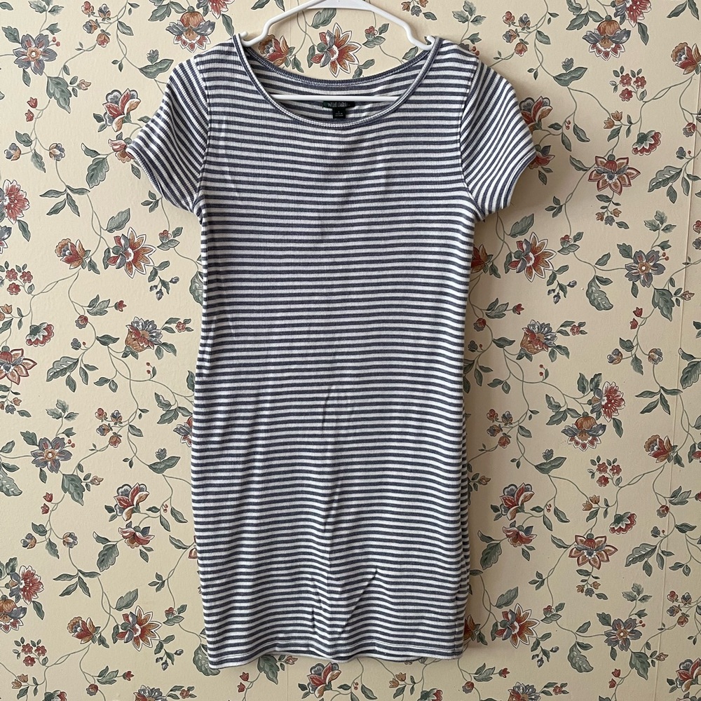 Striped Blue and White Dress